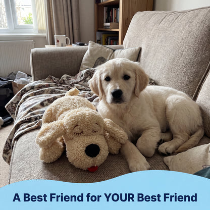 Snuggle Buddy Coco (Brown)