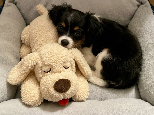 Sophie T.