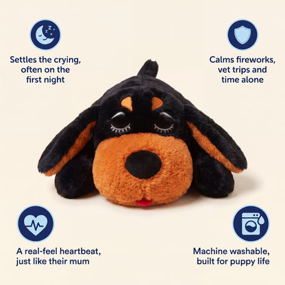 Snuggle Buddy Bramble (Black & Tan)